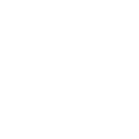 why-icon-2